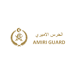 Cybersecurity Solutions 2 Amiri Guard