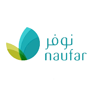 Cybersecurity Solutions 48 Naufar