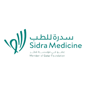 Cybersecurity Solutions 28 Sidra Medicine