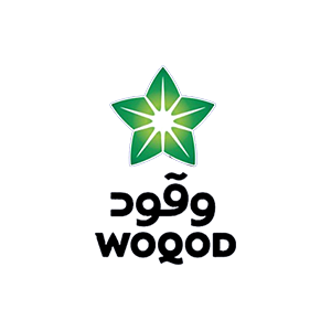 Cybersecurity Solutions 31 WOQOD